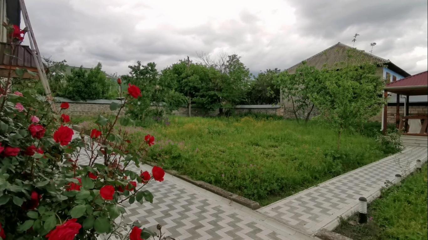 Bereket Villa And Aparts Габала Екстер'єр фото